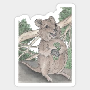 Quokka-fun Sticker